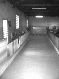 Cascalho_Teatro-Stefanello-tanoarquivo Local onde eram encenadas as peças teatrais.